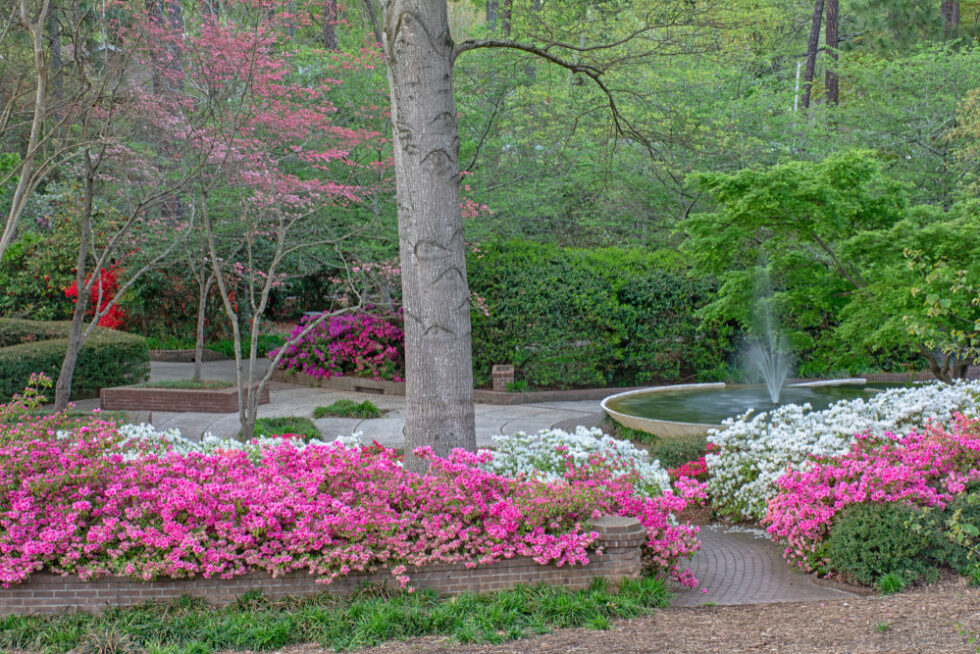 The Best Place To Visit In Rock Hill SC - Glencairn Gardens