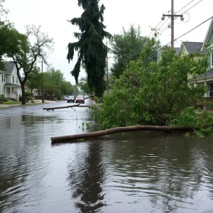 Flooded streets with fallen trees after a storm.