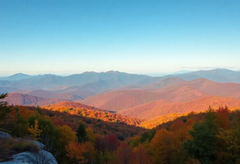 Asheville Autumn Foliage